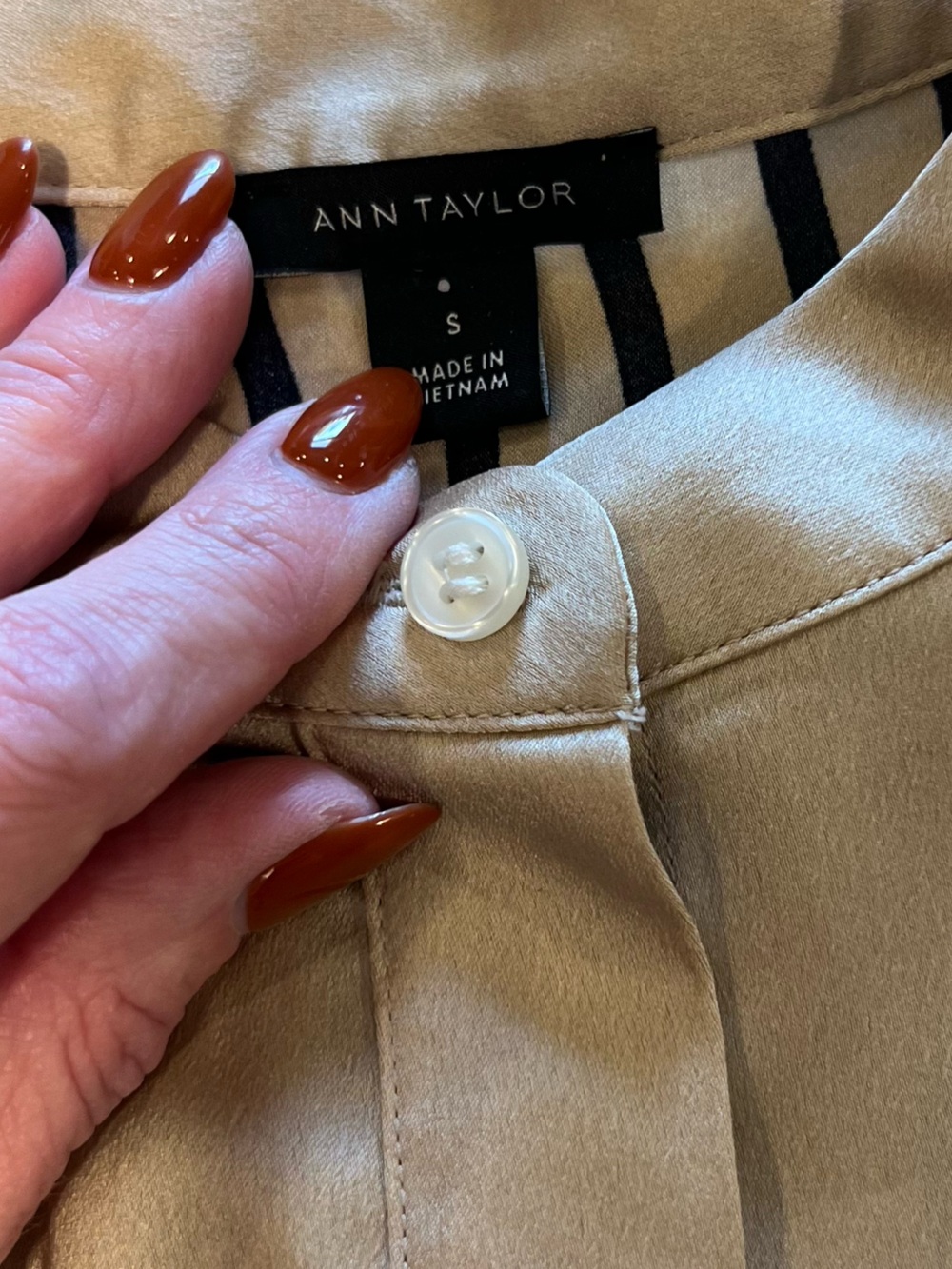 Ann Taylor Beige and Black Striped Dress Shirt - Picture 7 of 9